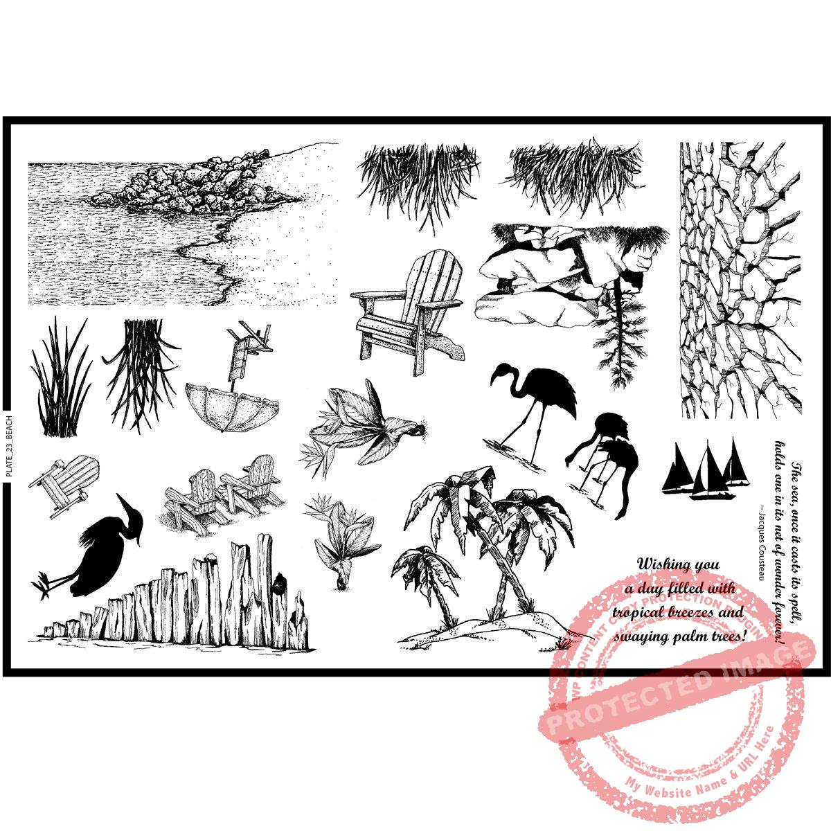 Plate 23, Beach