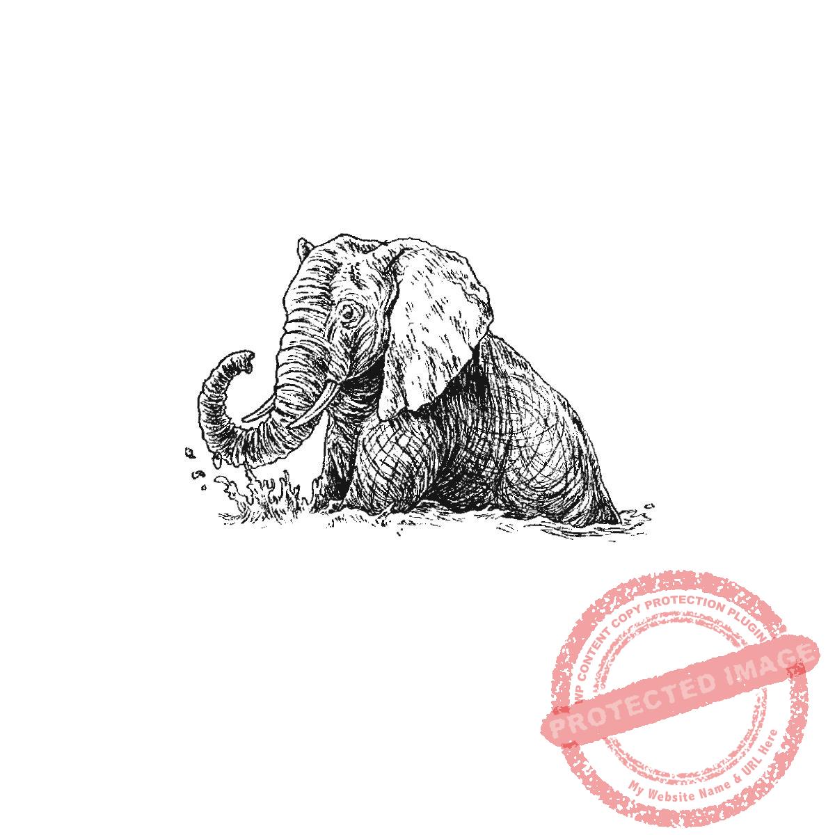 Playful Elephant, P21-438 D