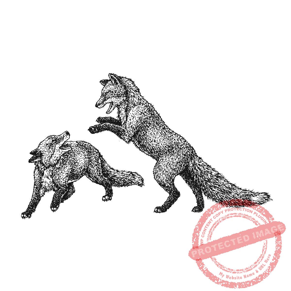 Playful Fox Pair, P20-428 F