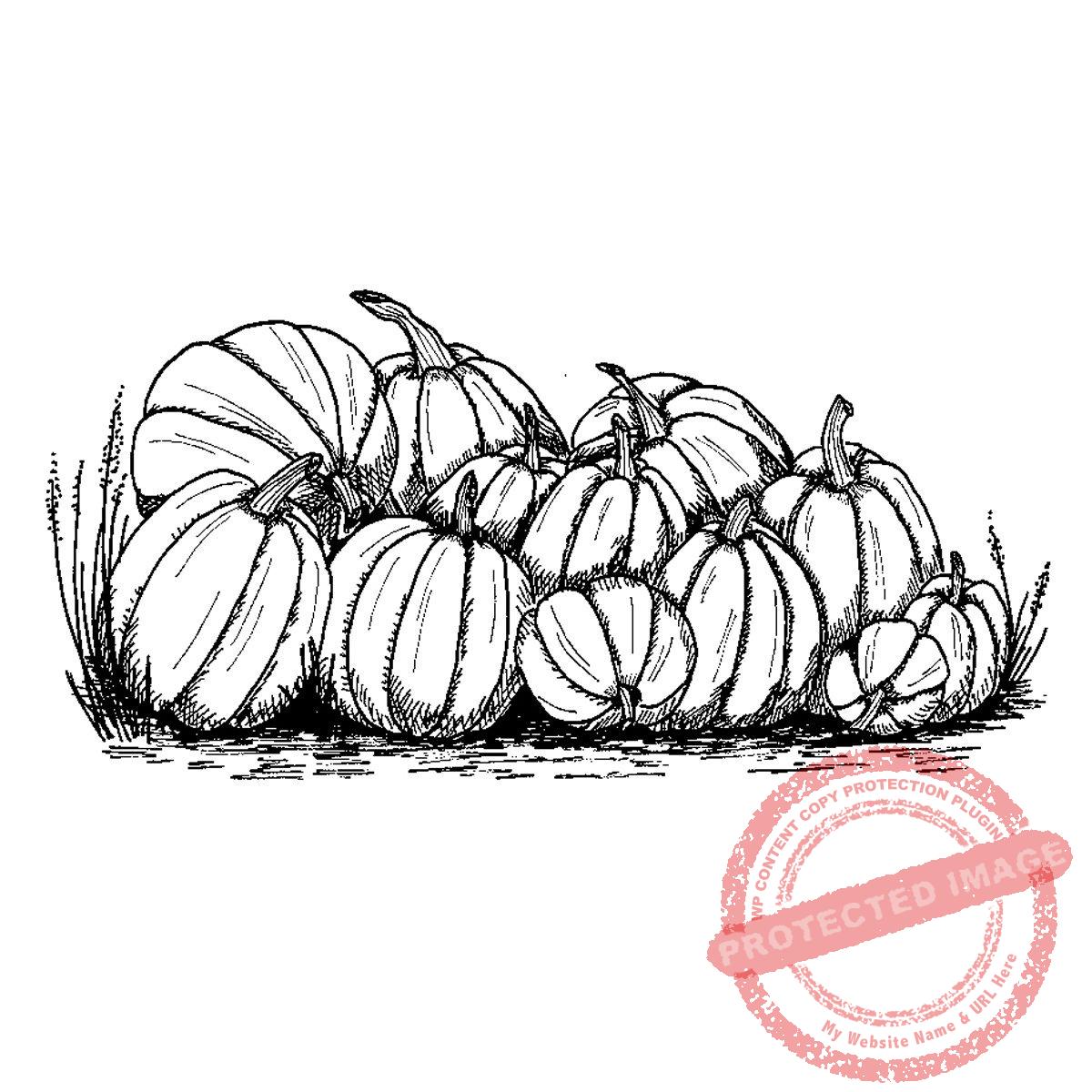 Pumpkin Harvest, M18-387 F
