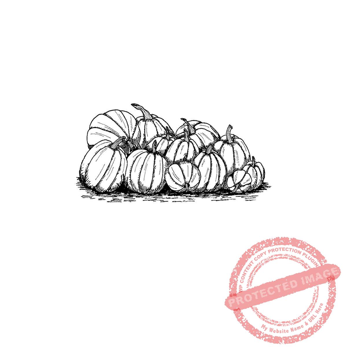 Pumpkins, M18-394 C