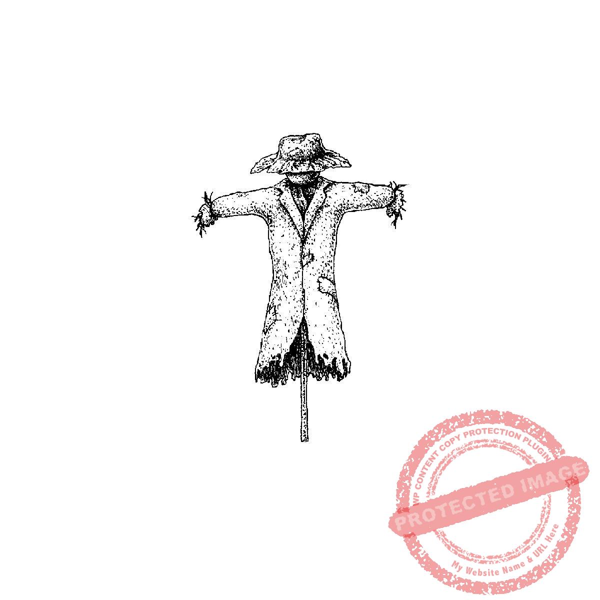 Scarecrow in Jacket, P18-391 D