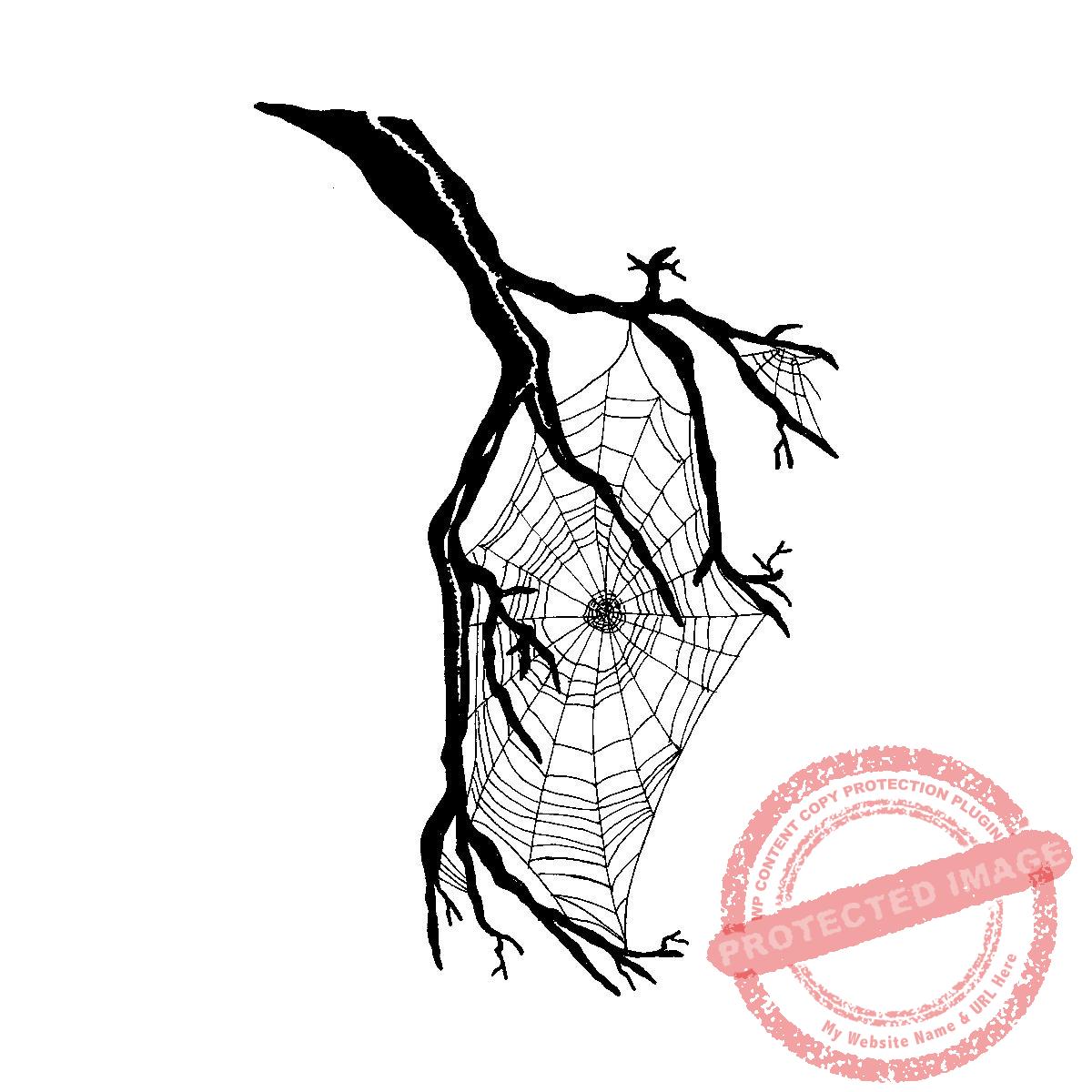 Spider Web M19-407 G