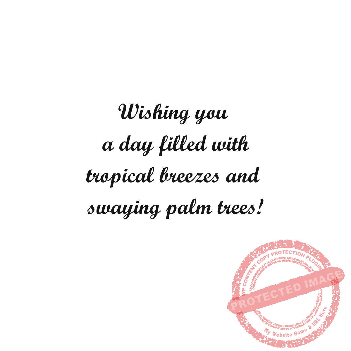Tropical Breezes, T23-482 C