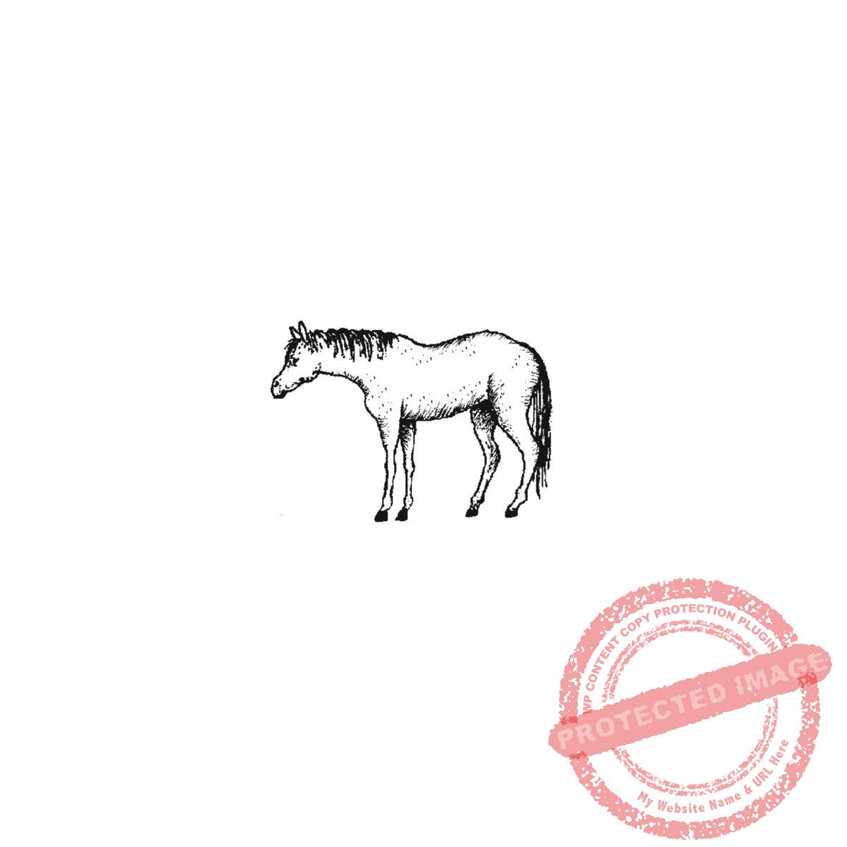 White Horse, small, P20-420 B