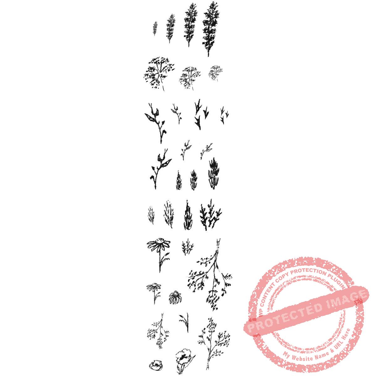 Wildflower Doodle Set, T19-412 K