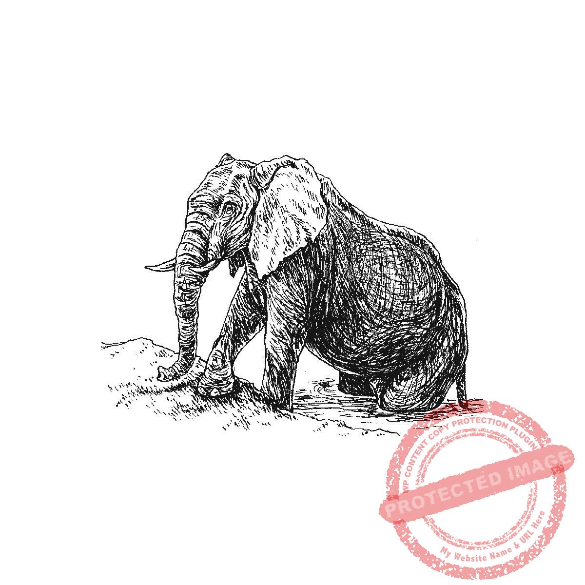 Elephant Stepping Out, P21-436 E