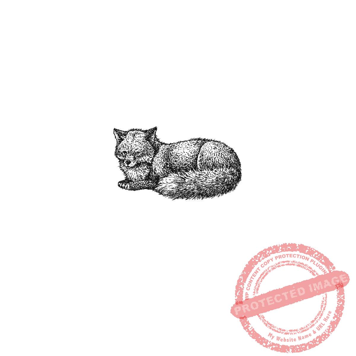 Resting Fox, P20-429 B
