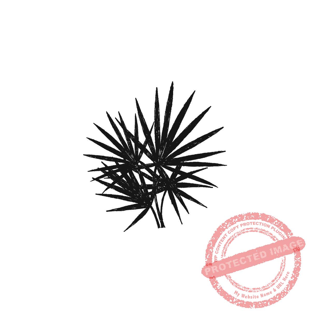 Saw Palmetto Silhouette, P22-463 C