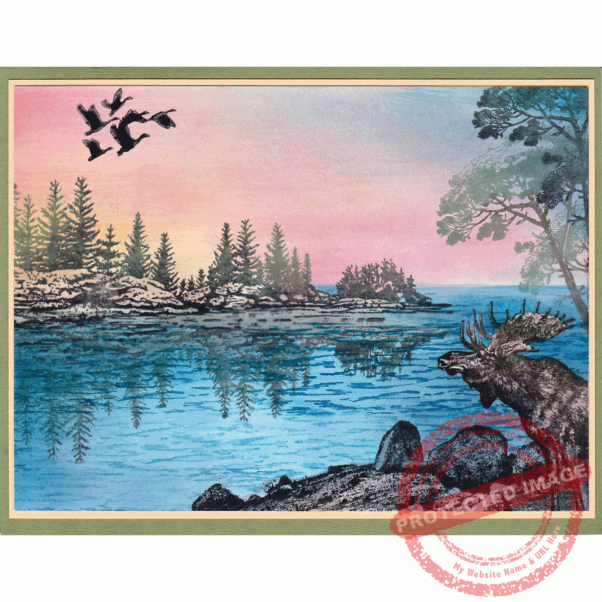 Favorite Water Wide, T24-489 G - Image 2
