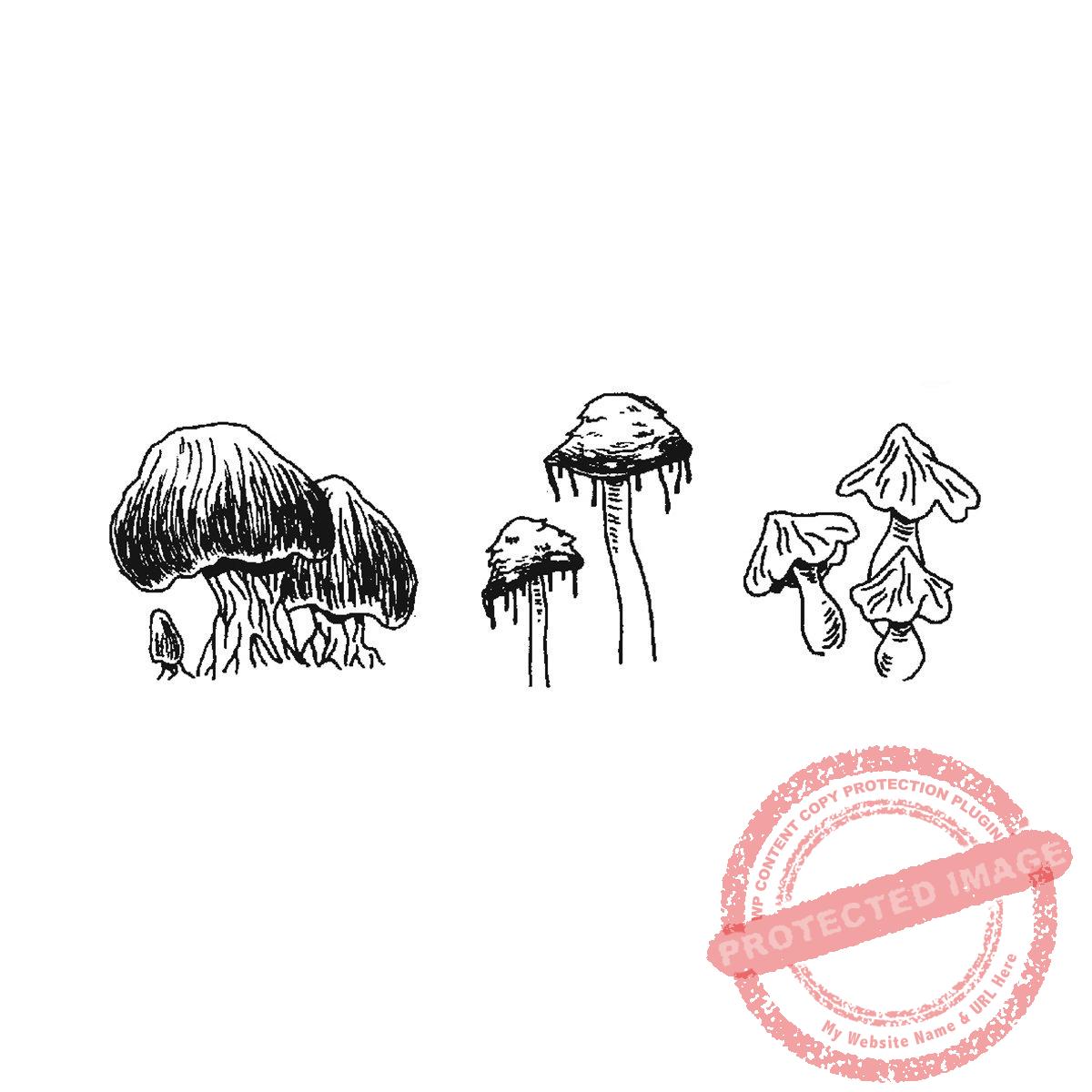 Mushroom Set of 3, P27-521 G