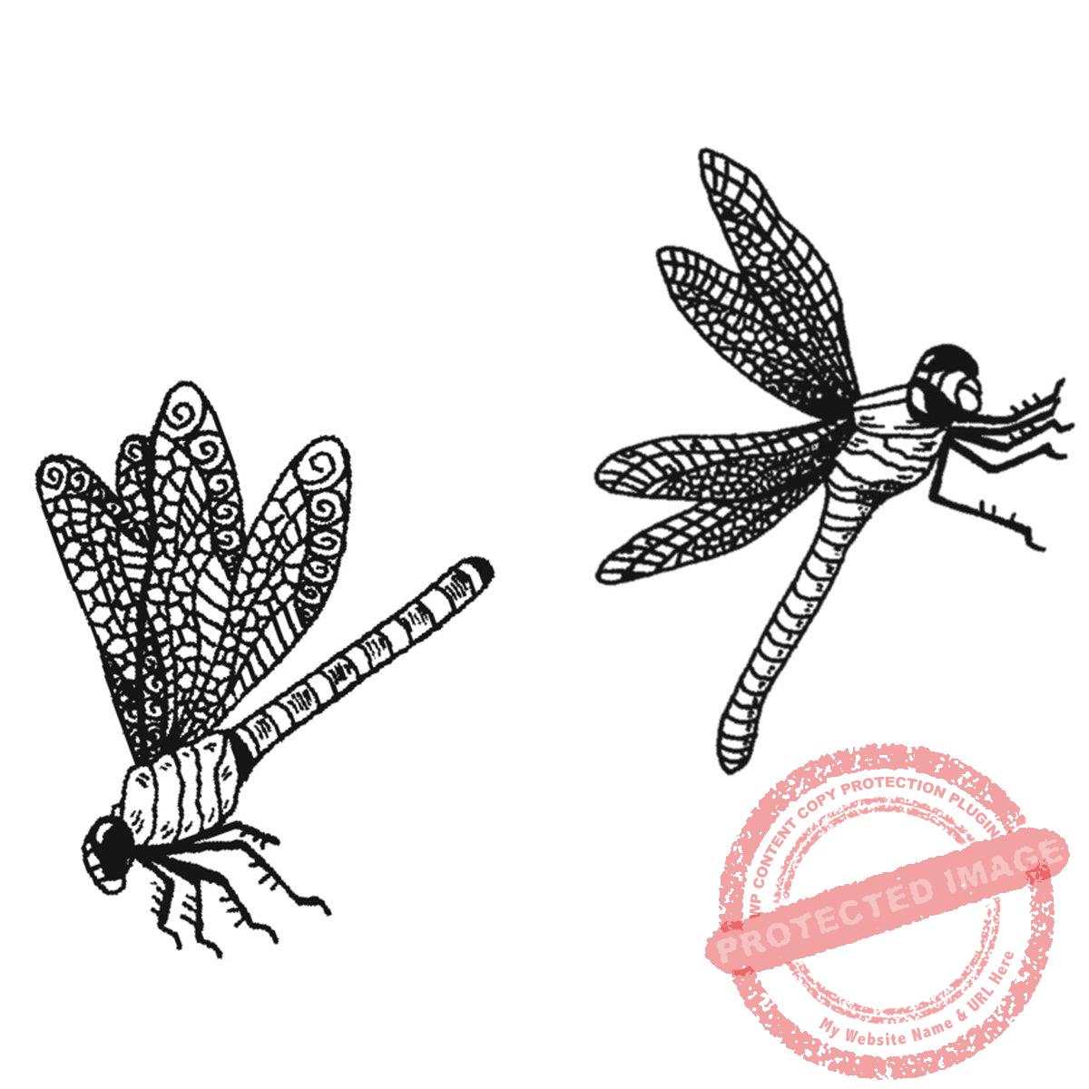 Dragonfly (large pair) P28-547 H