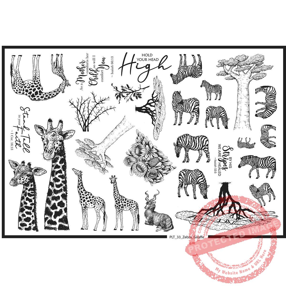 Plate 33, Zebras and Giraffes