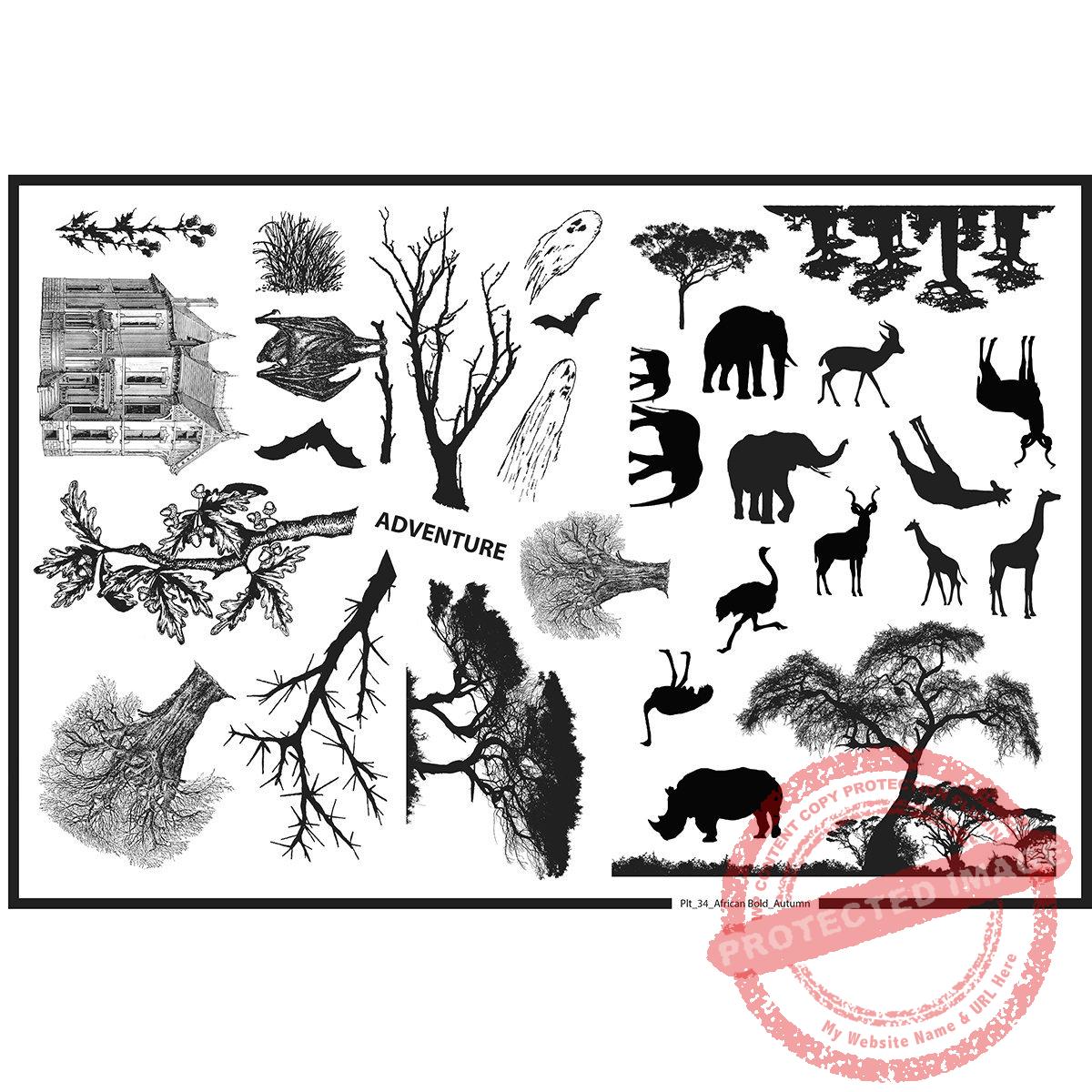 Plate 34, African and Autumn