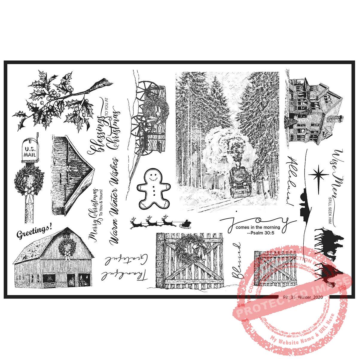 Plate 35, Winter 2020