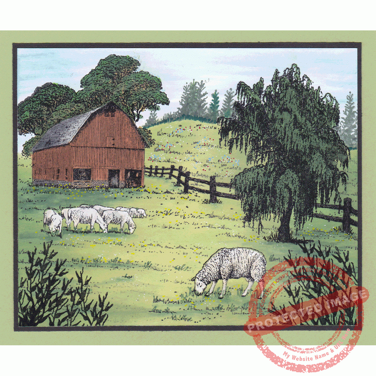 Sheep Grazing T1-007 B - Image 5