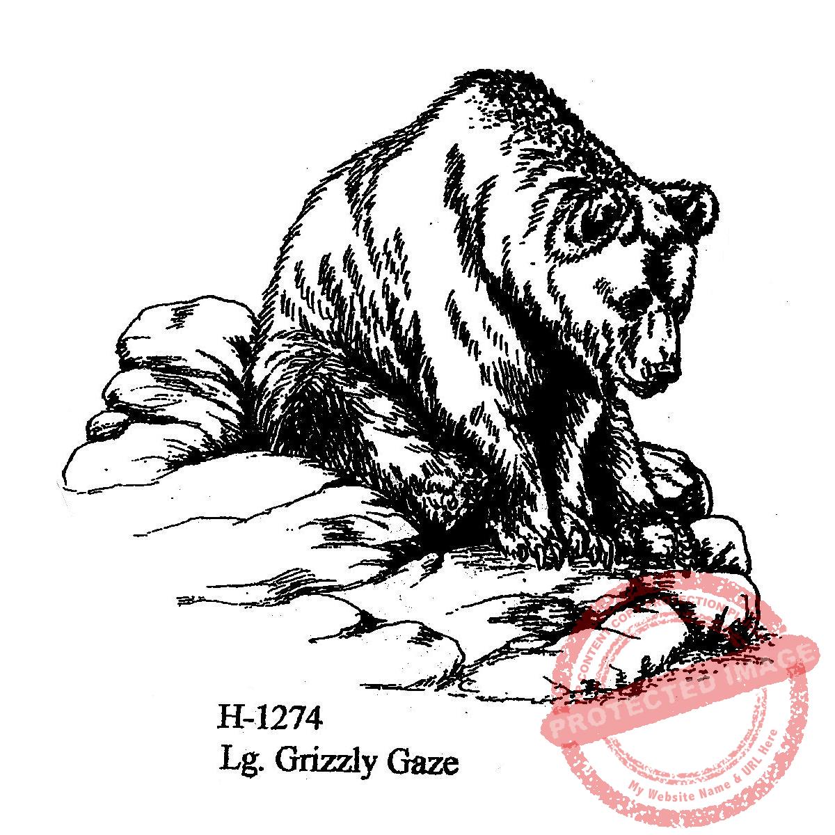 Grizzly Gaze Lg H-1274 by Sutter