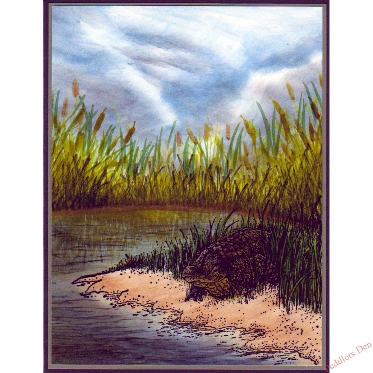 Alligator in Reeds, P20-431 H - Image 3