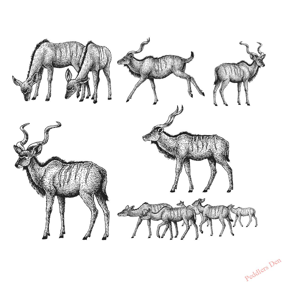 P42-664 Kudu Set