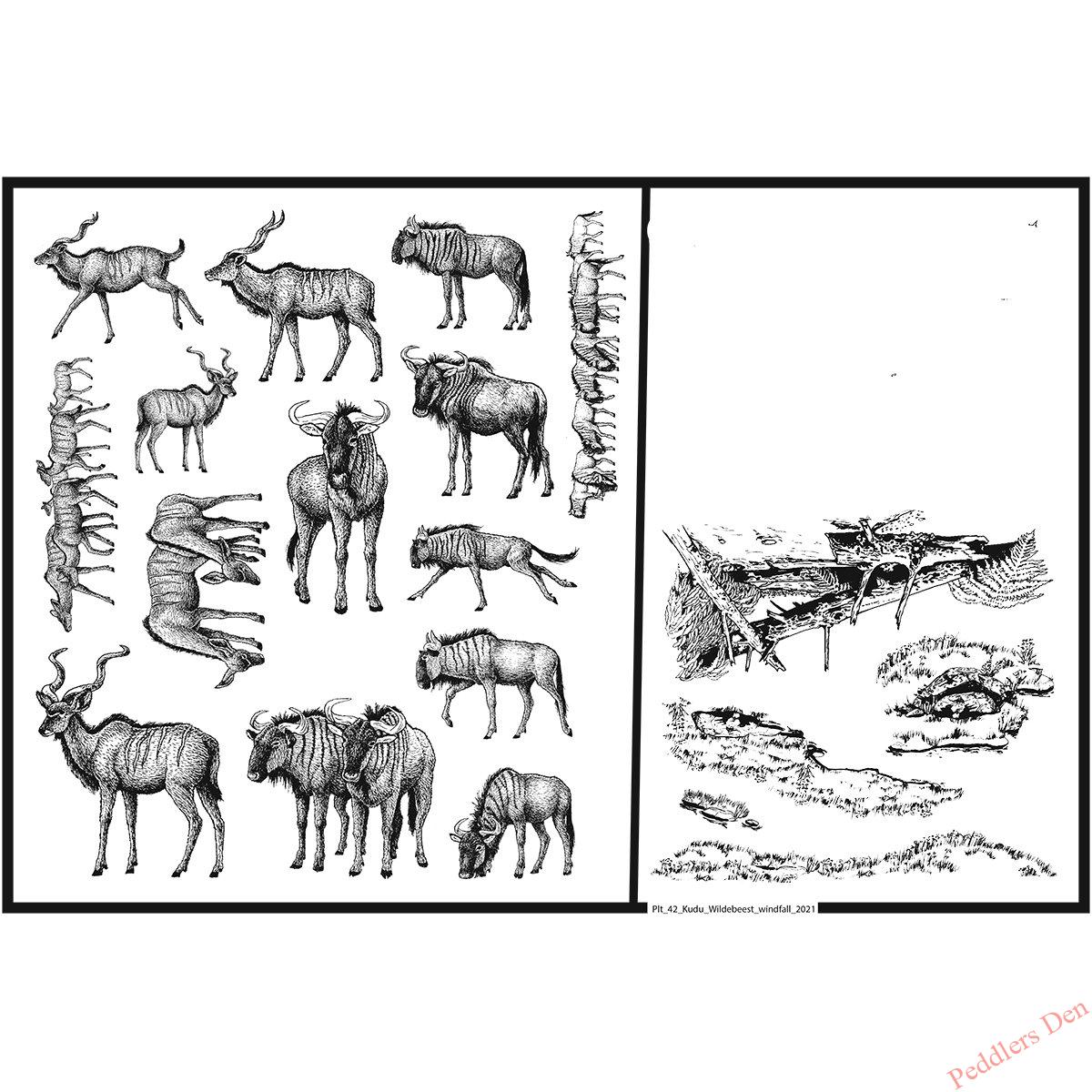 Plate 42 Kudu, Blue Wildebeest and Landscape Elements