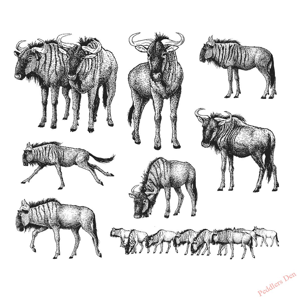 P42-665 Blue Wildebeest Set