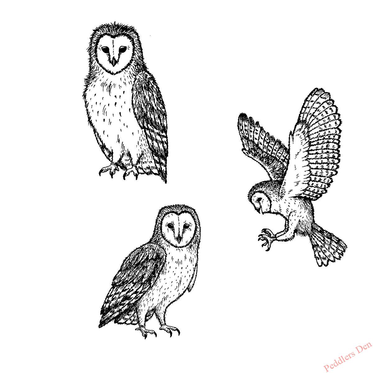 Barn Owl set of 3, P45-704 I