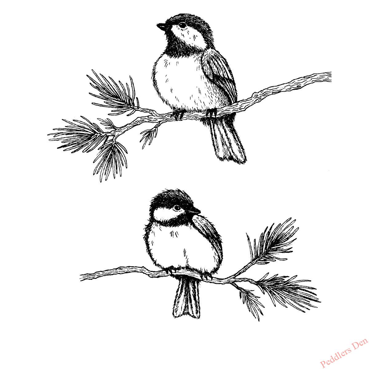 Chickadees on Pine Branch (right/left) P45-695 J