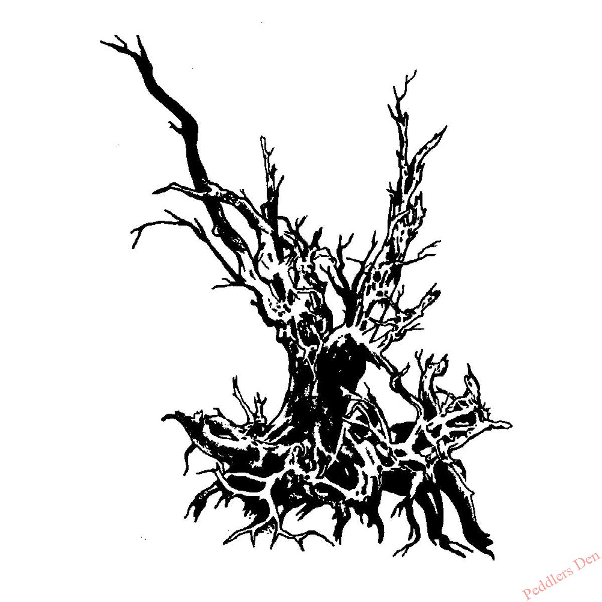 Bare Roots T44-687 F