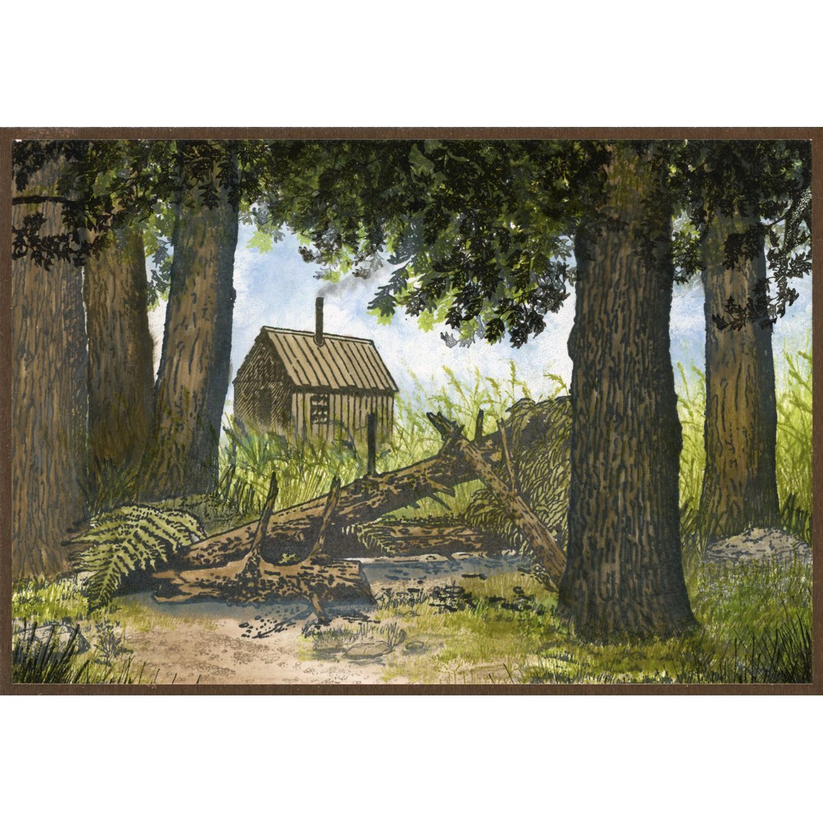 Shack T1-005 C - Image 7