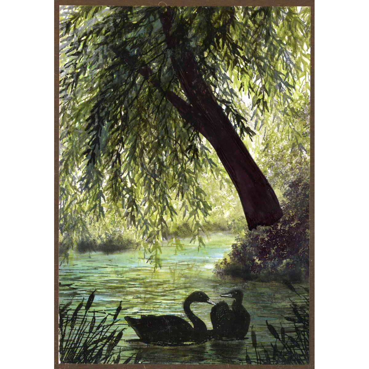 Black Swan Pair T15-325 E - Image 5