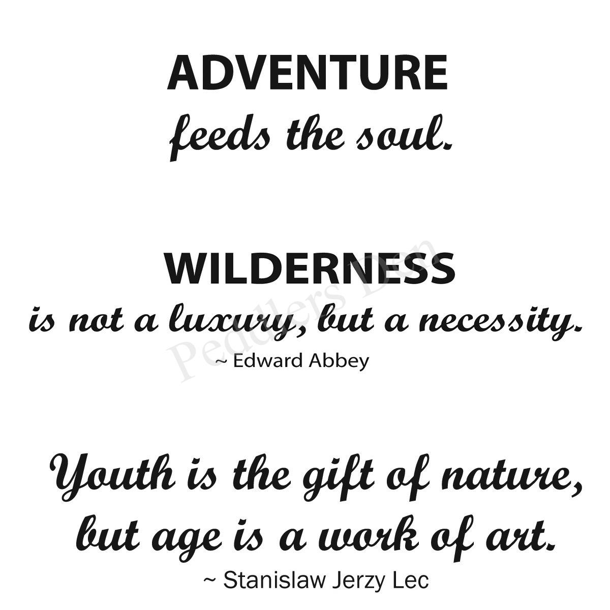 Trio of Adventure & Nature Verses T5-744 D