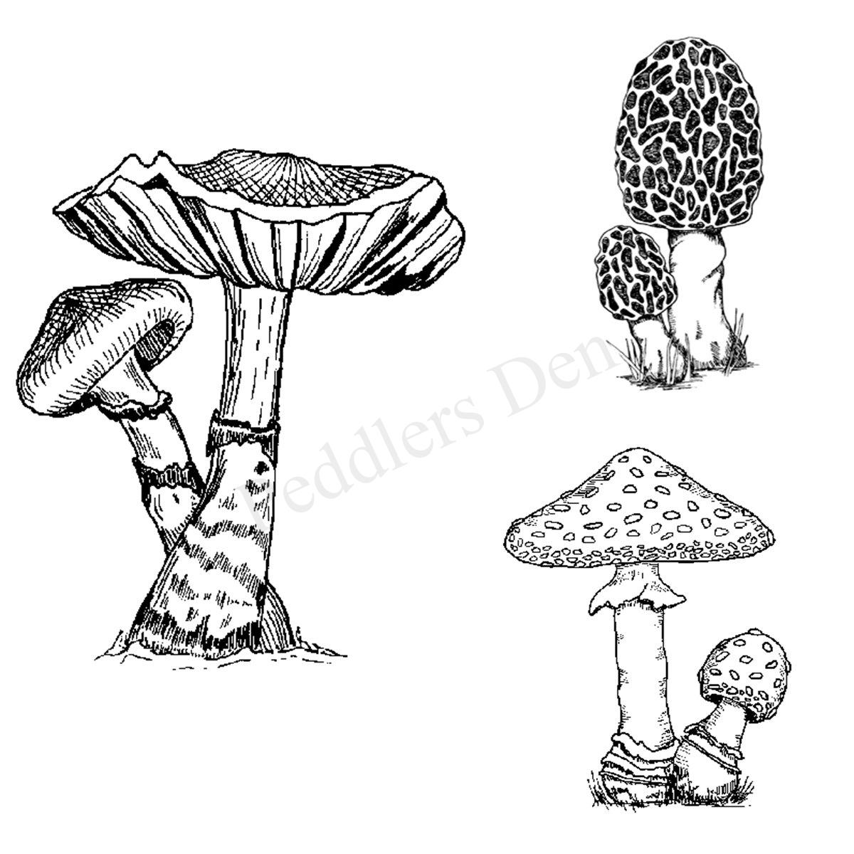 Trio of Mushroom Images M1-738 H