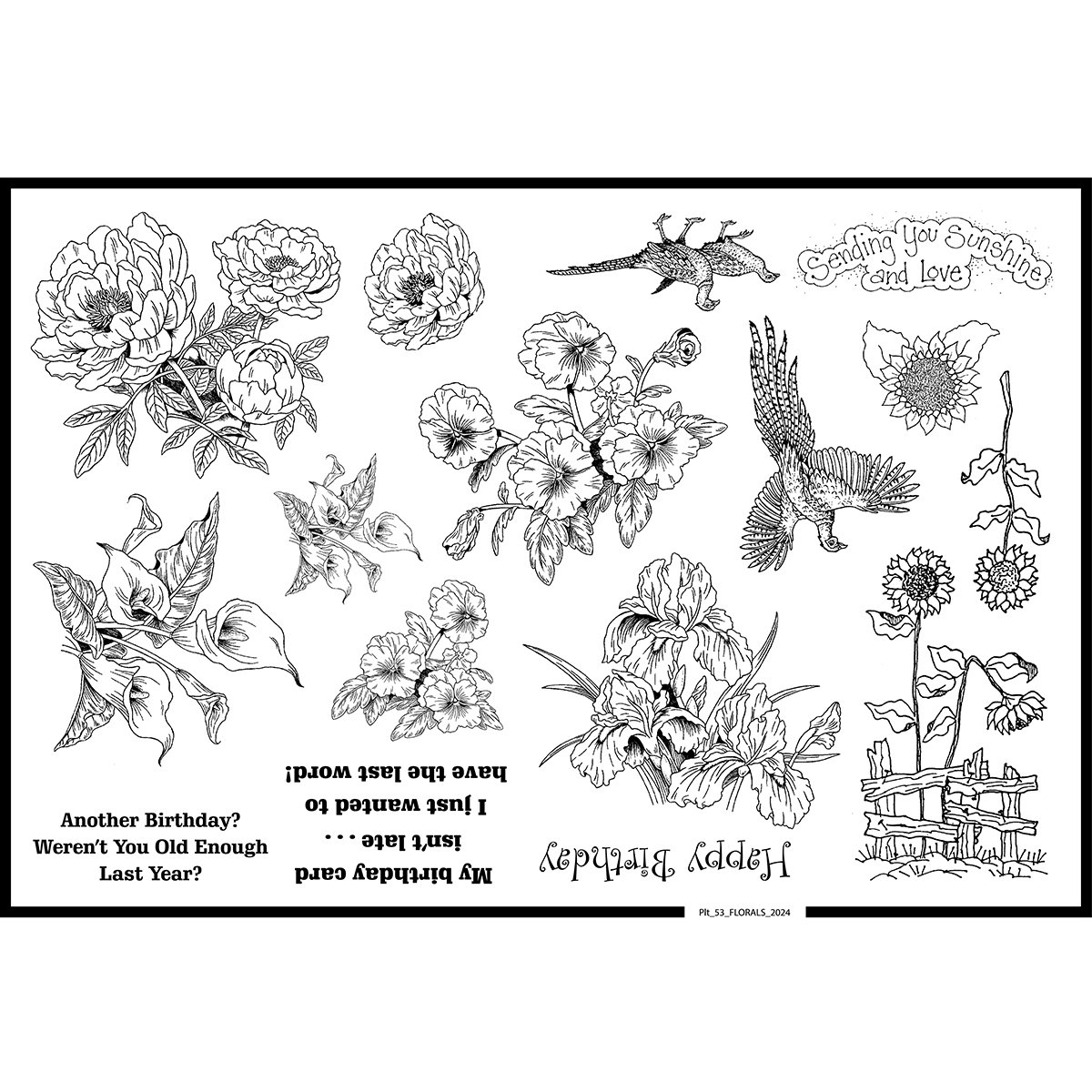 Plate 53, Florals