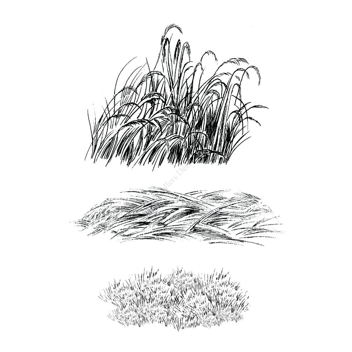 H54-819D Range Grasses, Large, set of 3