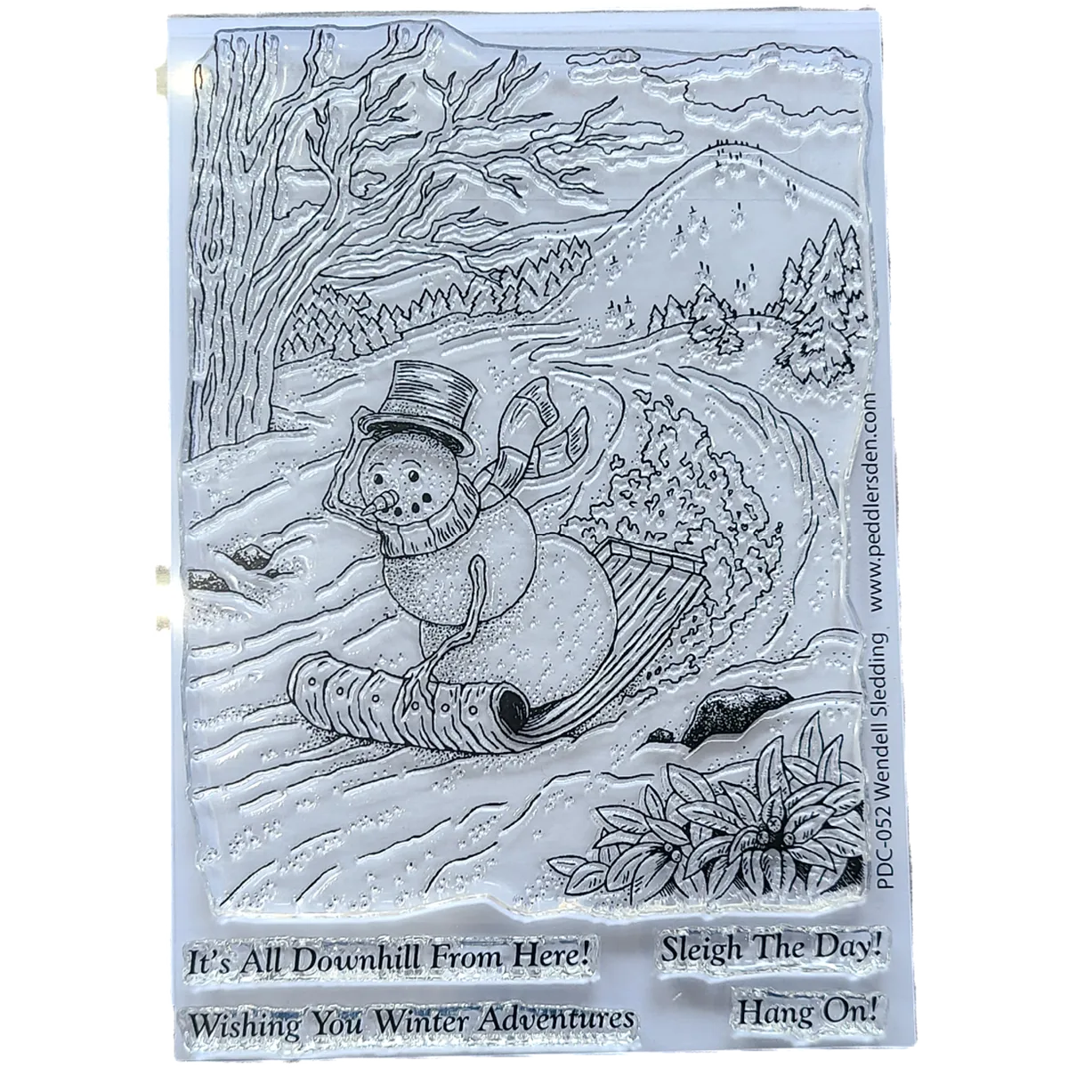 Wendell Sledding PDC-052