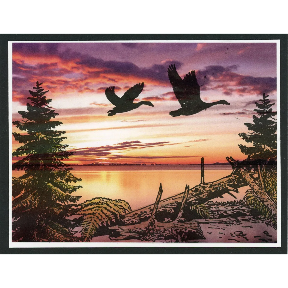 Tonya's Favorite A2 Sky papers - Image 2